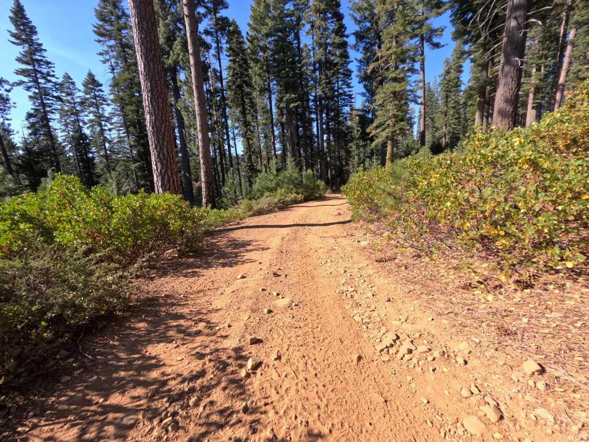 Clear Creek - FS 18-014 photo 6