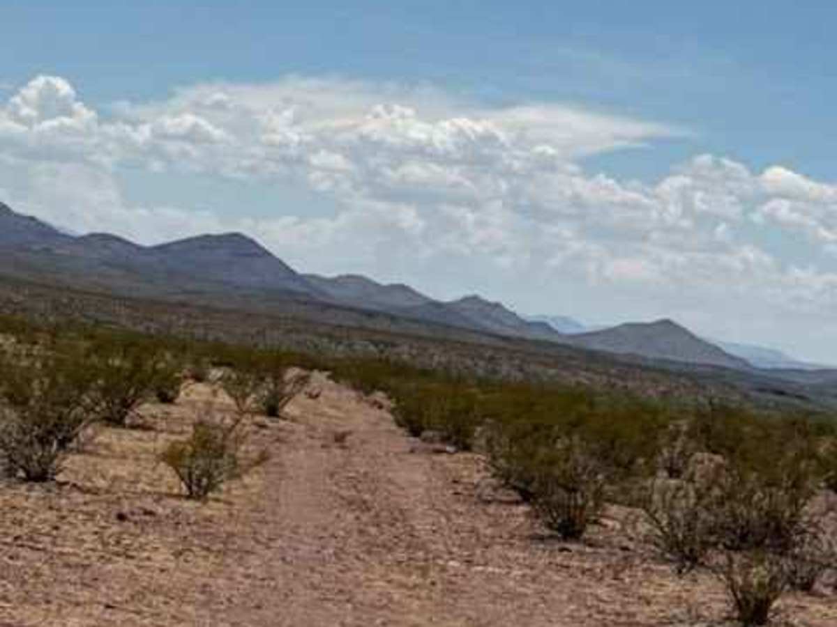 BLM PE1142 photo 4