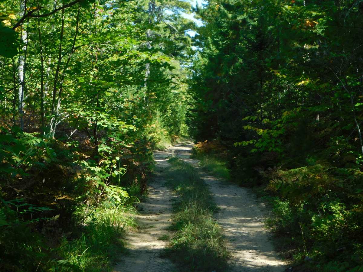 Culhane Grade Trail photo 4