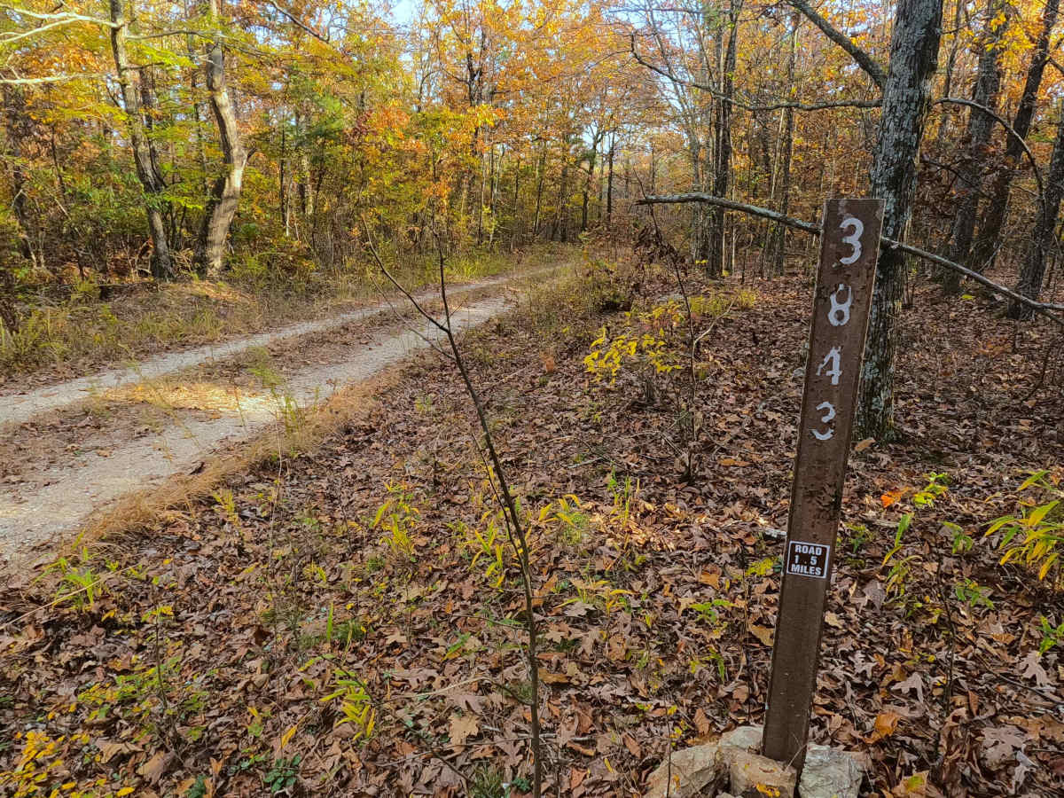Tango - FS 3843B trail photo