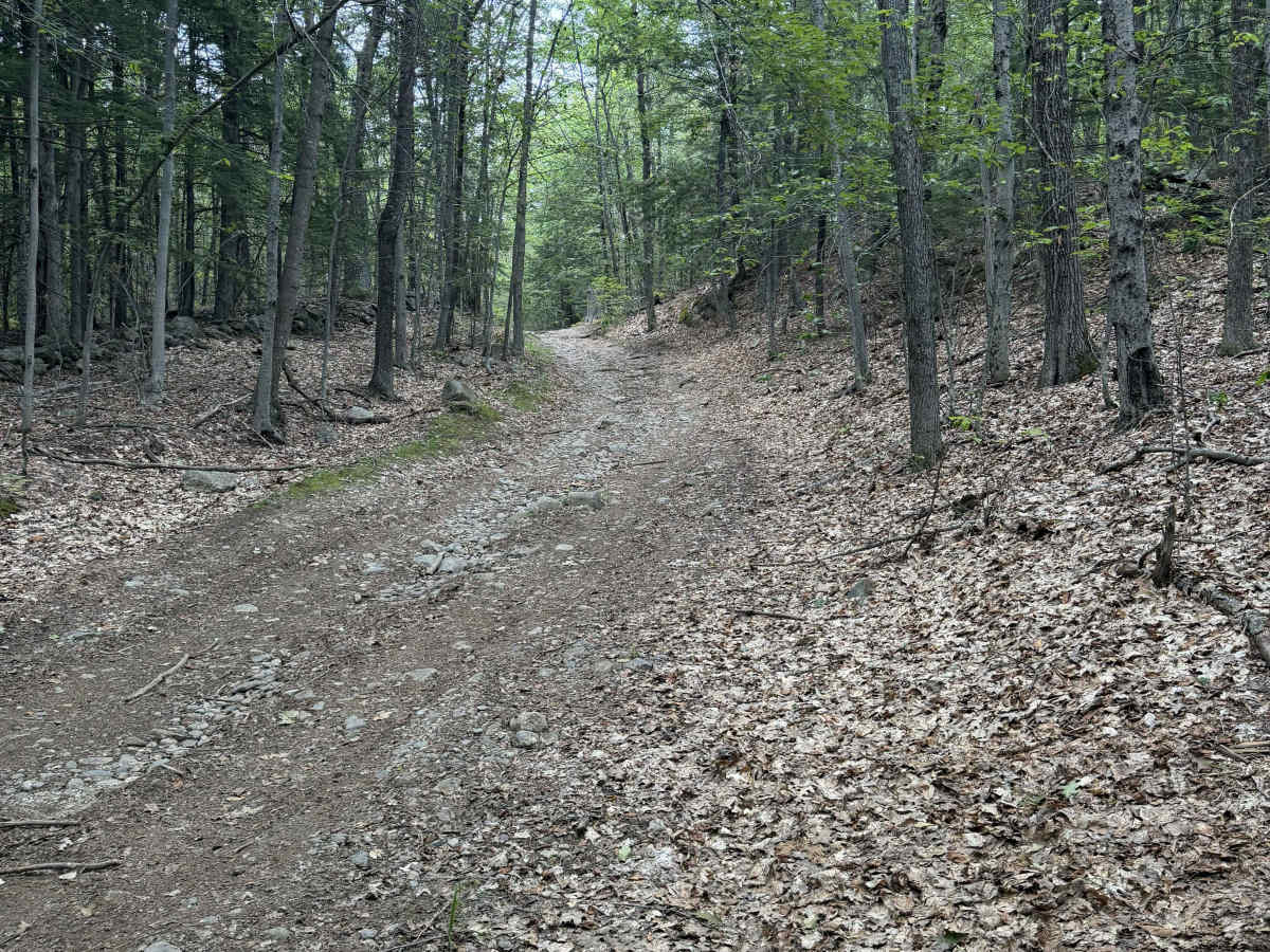 Badger Lane photo 5