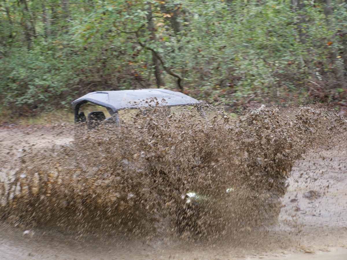Mud Bog photo 5