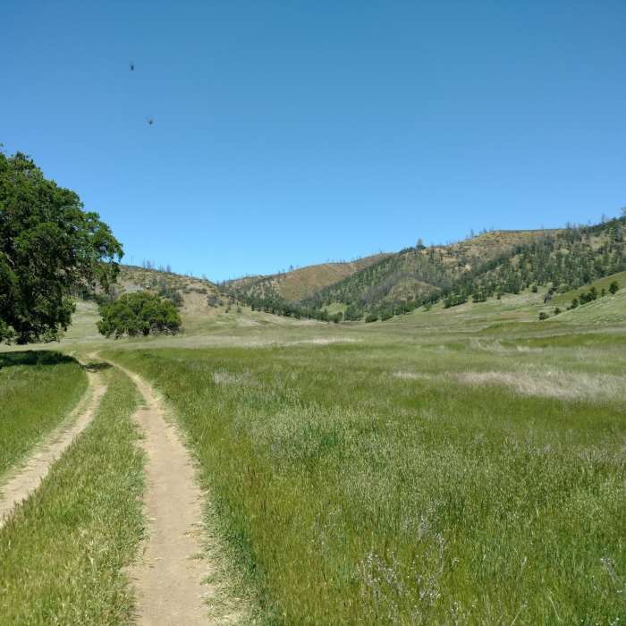 Near Lynch Canyon Trail