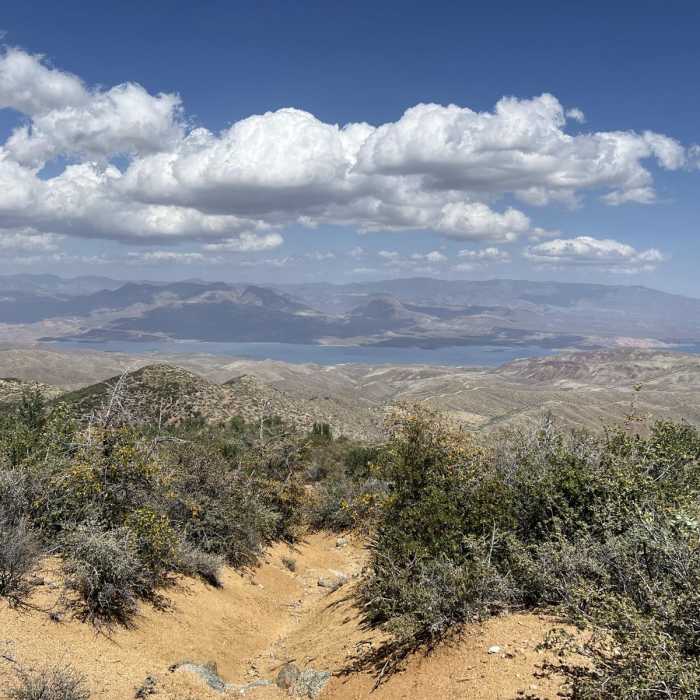 Near Four Peaks Trail #130