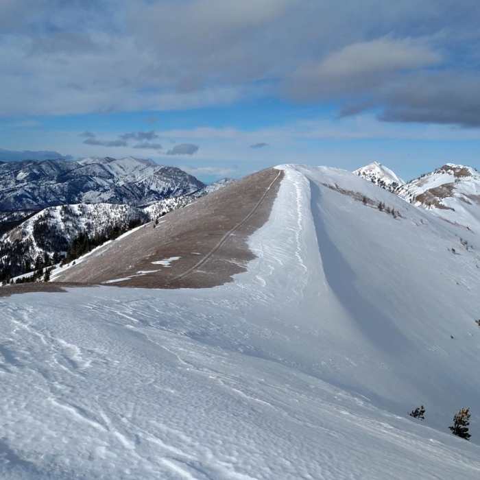 Near Baldy Mountain Near Baldy Mountain