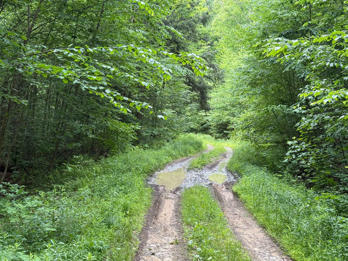 Chubbs Trail photo 2