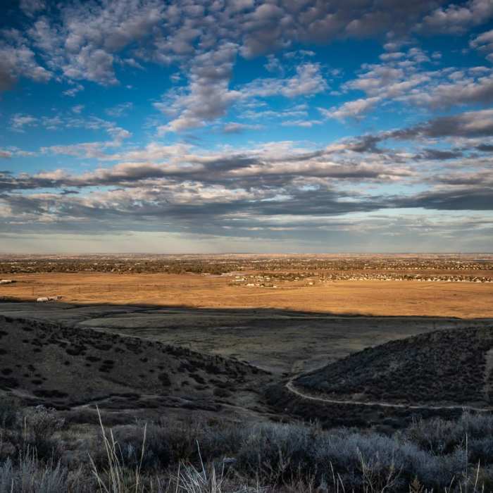 Near Coyote Ridge Natural Area