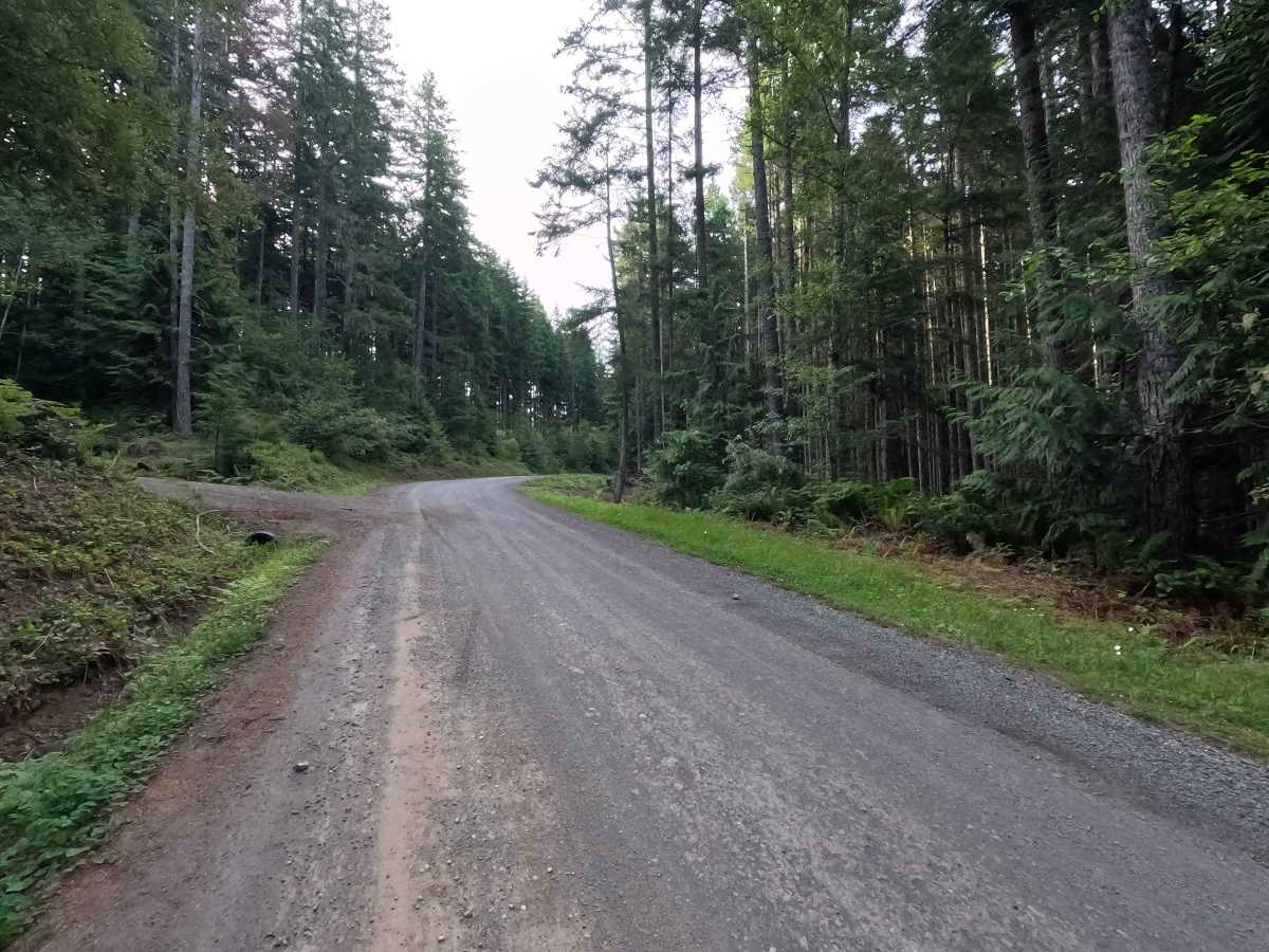 Little River Road photo 4