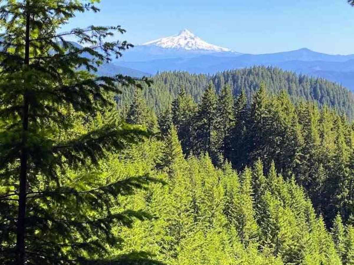 Washington Backcountry Discovery Route Section 1 photo 3