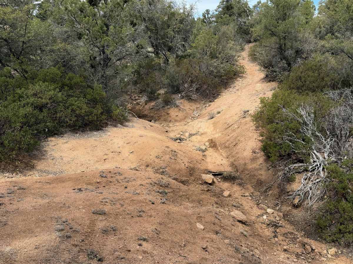 Dead Steer Basin #9908  photo 2