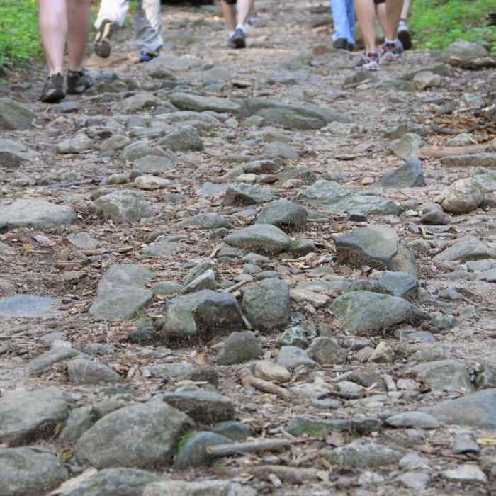 Path of Ridge Trail Near Weakley Hollow Fire Road
