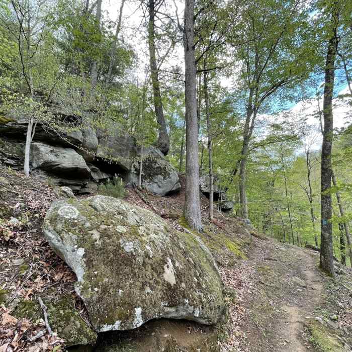 Barton's Lake Trail as it moves east. Near Lodge to Lake and Back