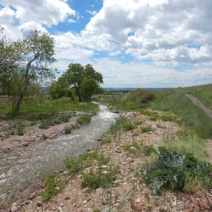 Near Old Kiln Trail