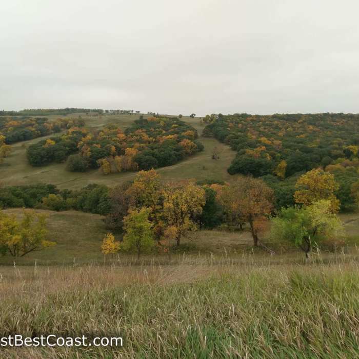Fall colors from the North Fork Trail Near Redetzke Ridge and Valley View Loop