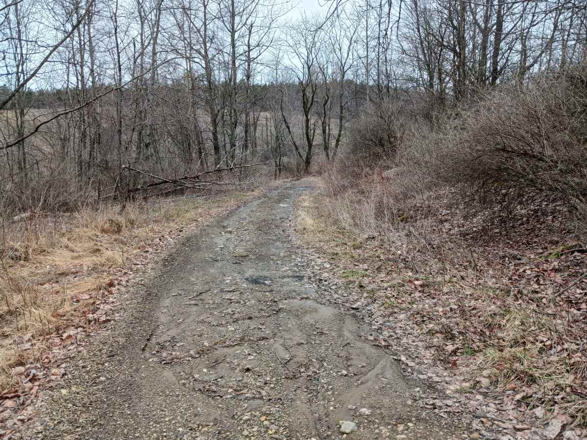Trail 4L - Rock Run Recreation Area photo 3