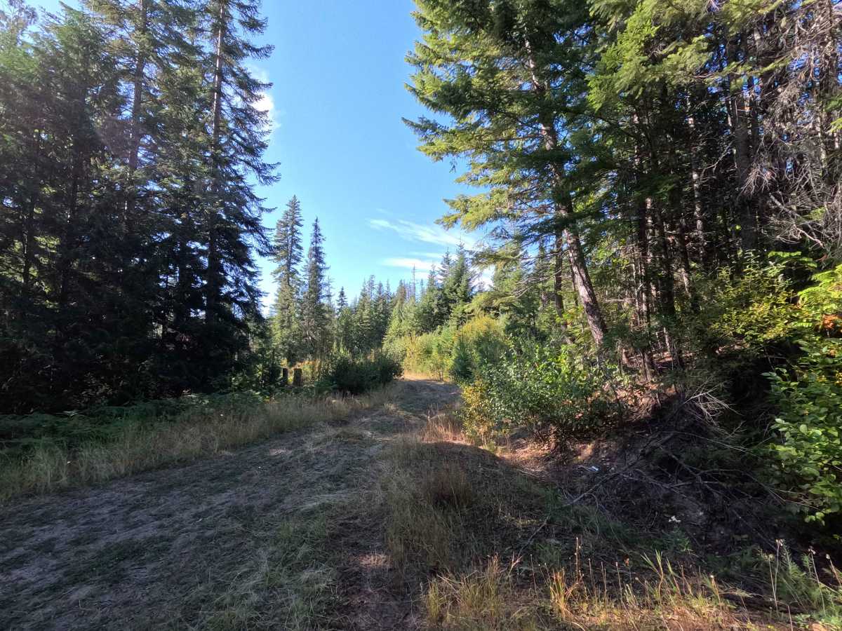 Klahowya Creek F - FS 1075F trail photo