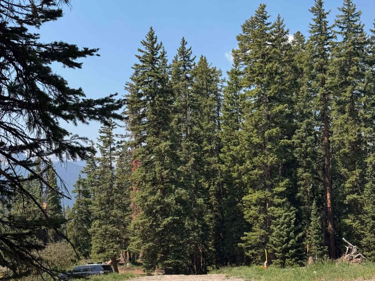 Green Lake Road photo 2