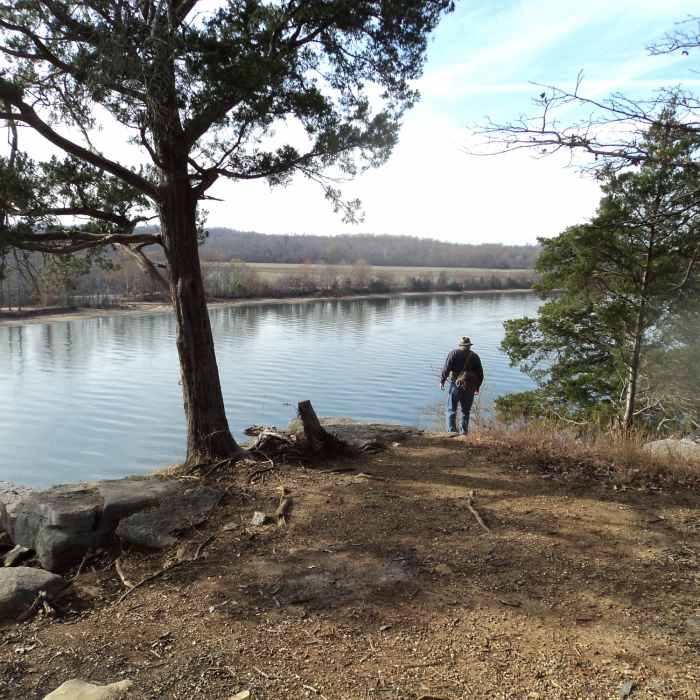 Near Lady's Bluff Trail