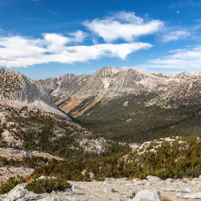 Near Mono Creek Trail