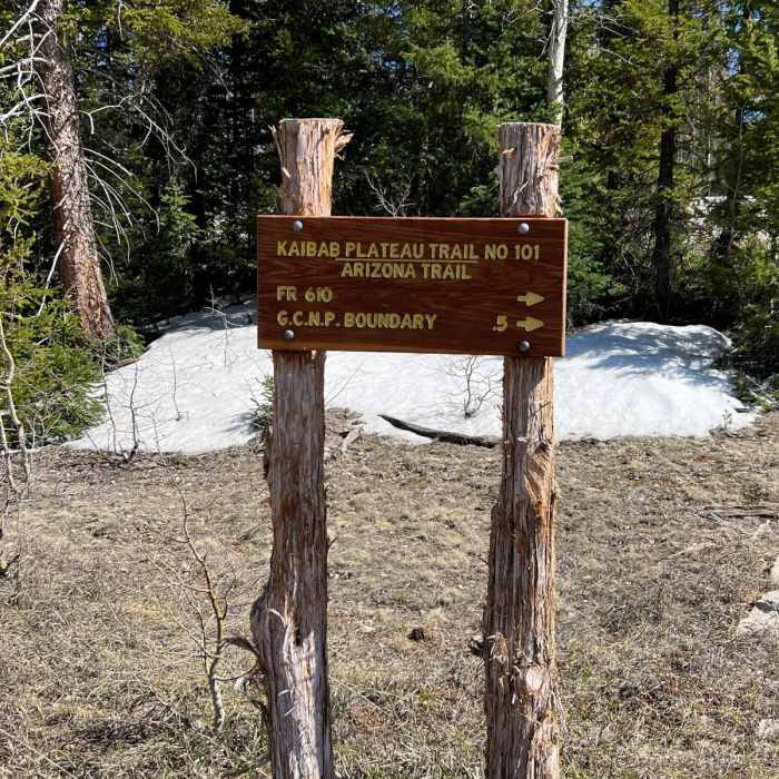 Near Arizona Trail Passage 40: Kaibab Plateau South
