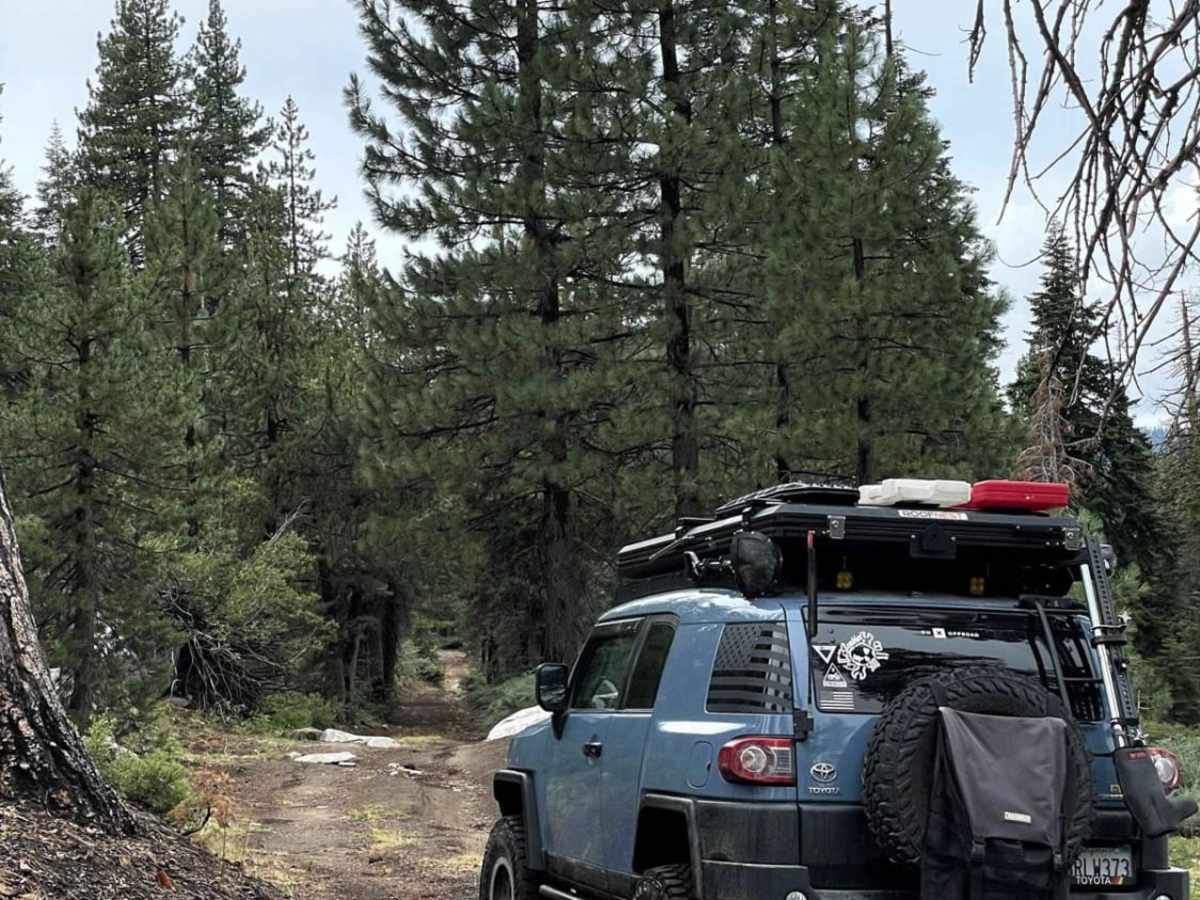 Sapps Hill trail photo