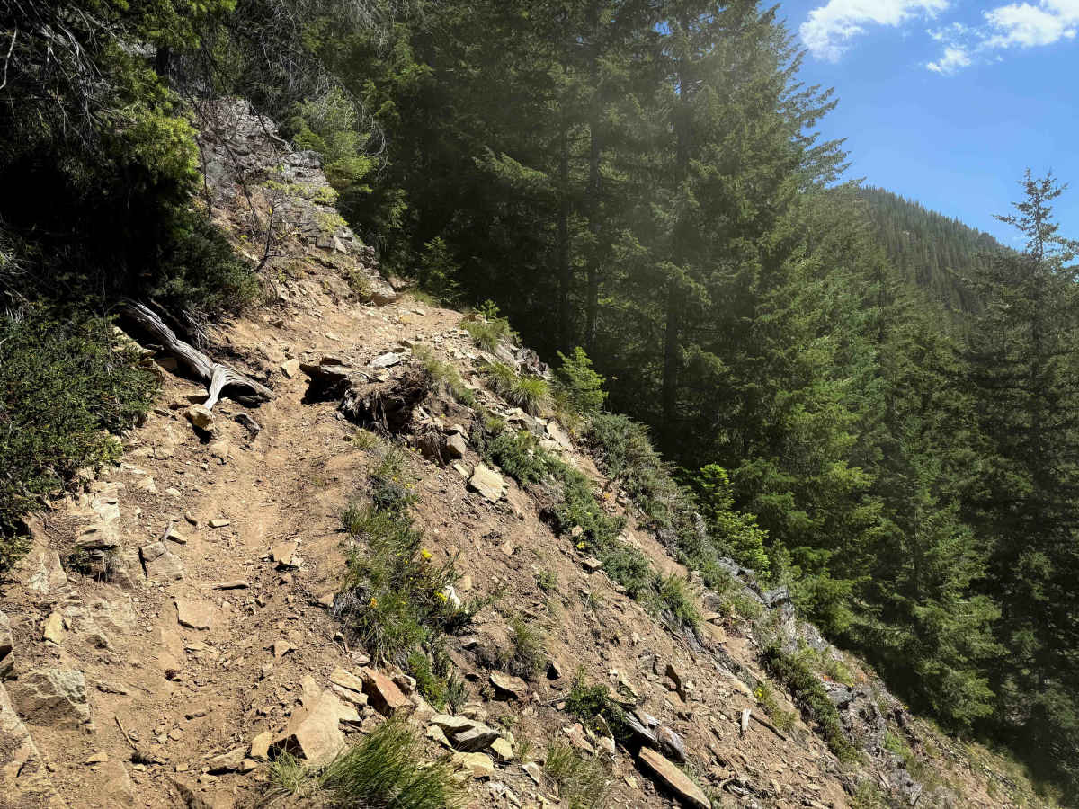 Greek Creek Basin - FS 1321.2  trail photo