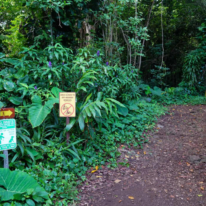 Near Kolowalu Trail Near Kolowalu Trail