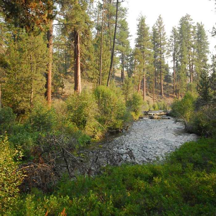 Near Shevlin Park, Aspen Hall Trail