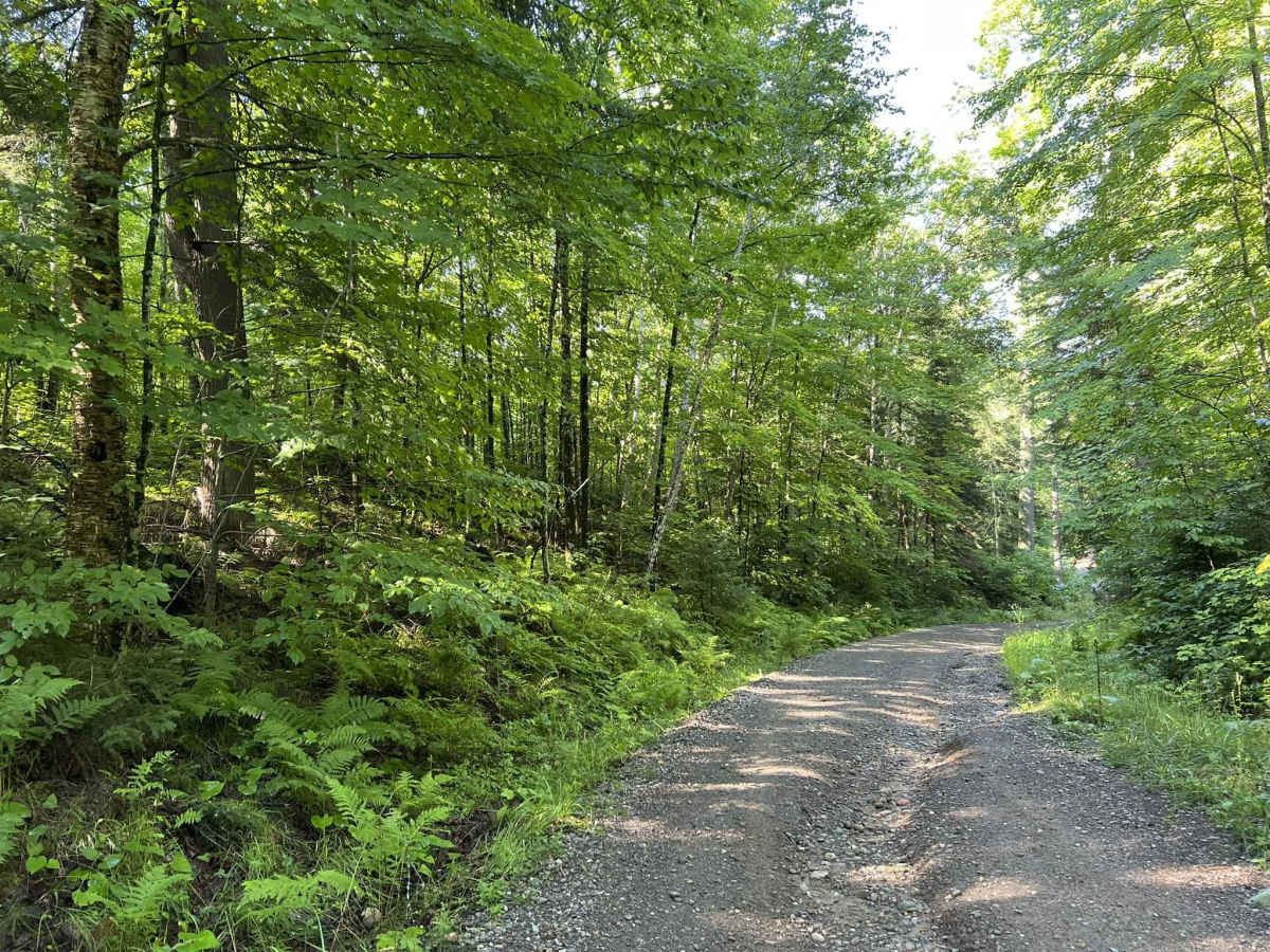 Lyme Timberlands - Florence County F14 trail photo