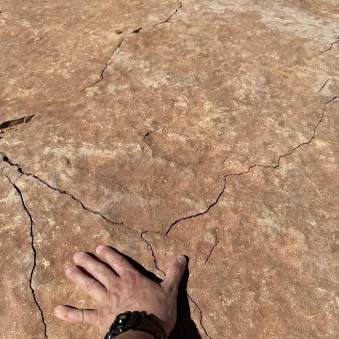 Near Dinosaur Trackway Trail