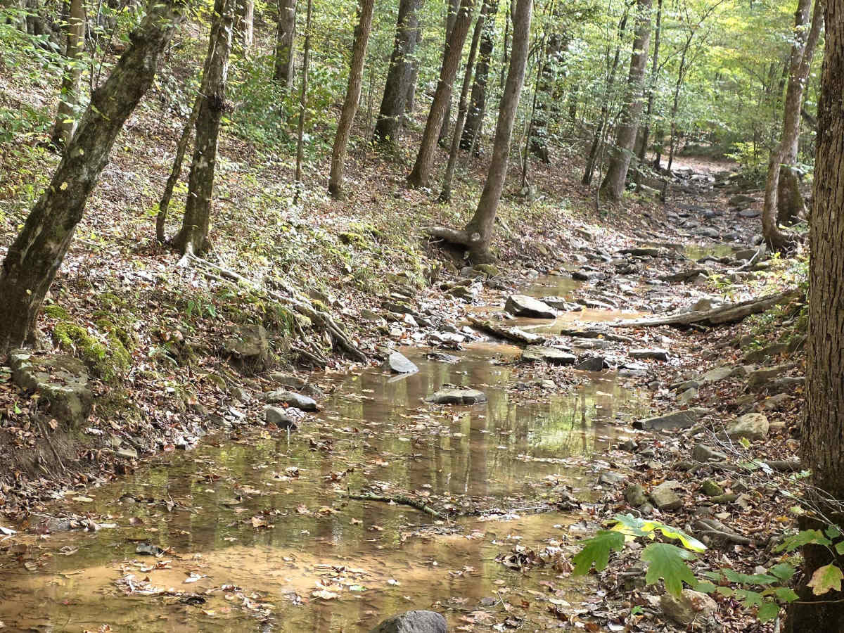 Heck No Hill photo 3