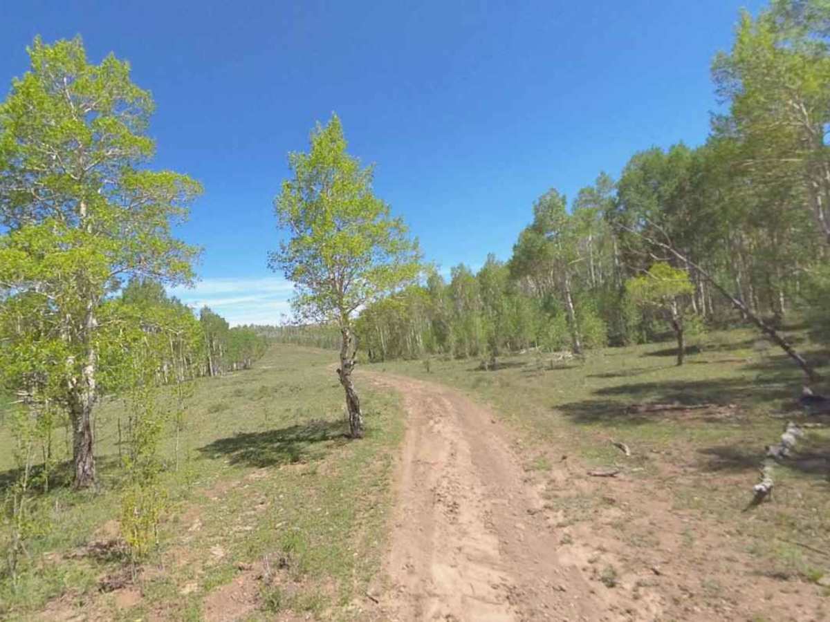 Mud Lake Clayton - FS 30134 photo 5