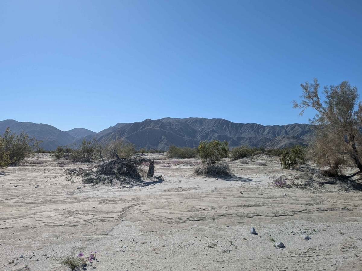 BLM 082 photo 6