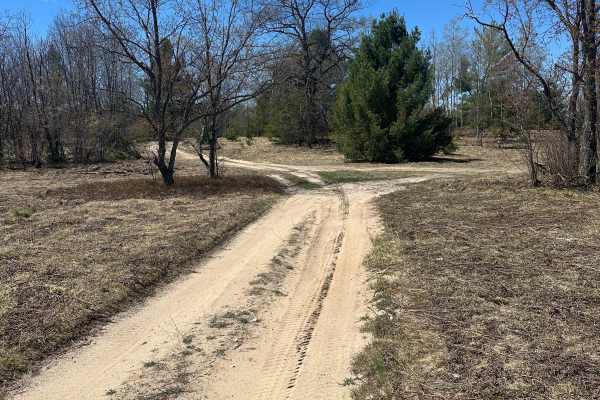 North Manistee River Loop
