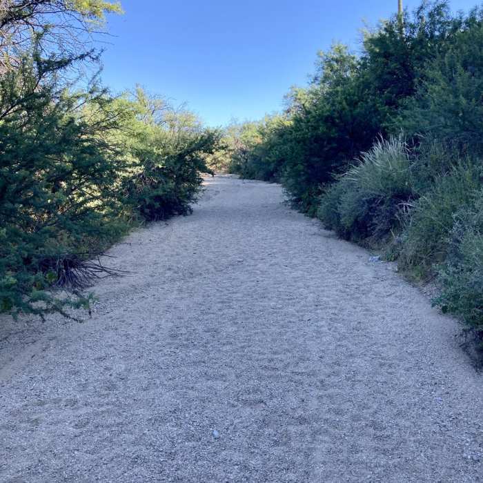 Near Freeman Homestead Trail