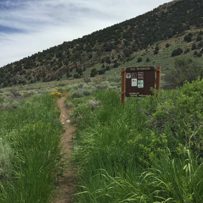 Trailhead. Near Talbot Trail