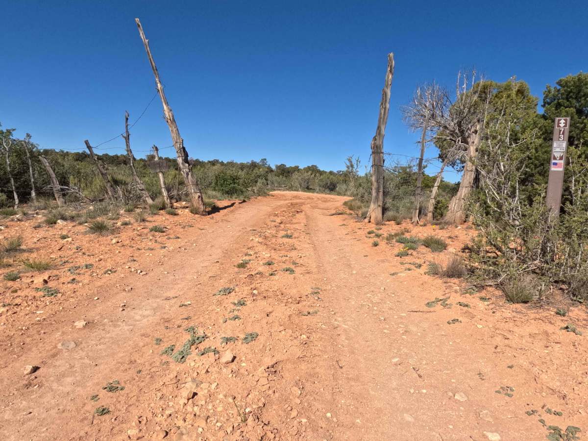 BLM 73  photo 2