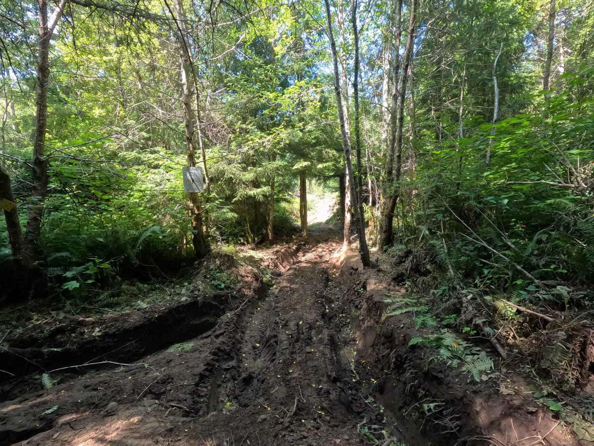 Stump Trail trail photo