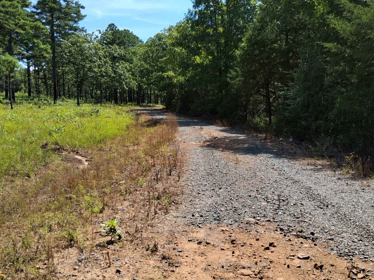 Gulf Mountain Wildlife Management Area Tour photo 2