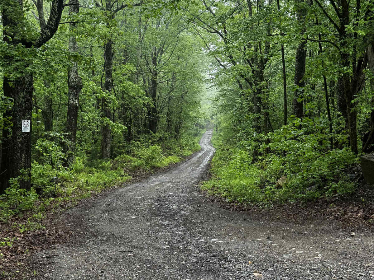 Blandford Road trail photo