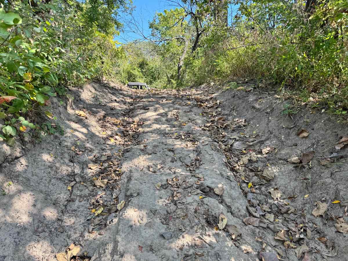 Kingpin Climb photo 5