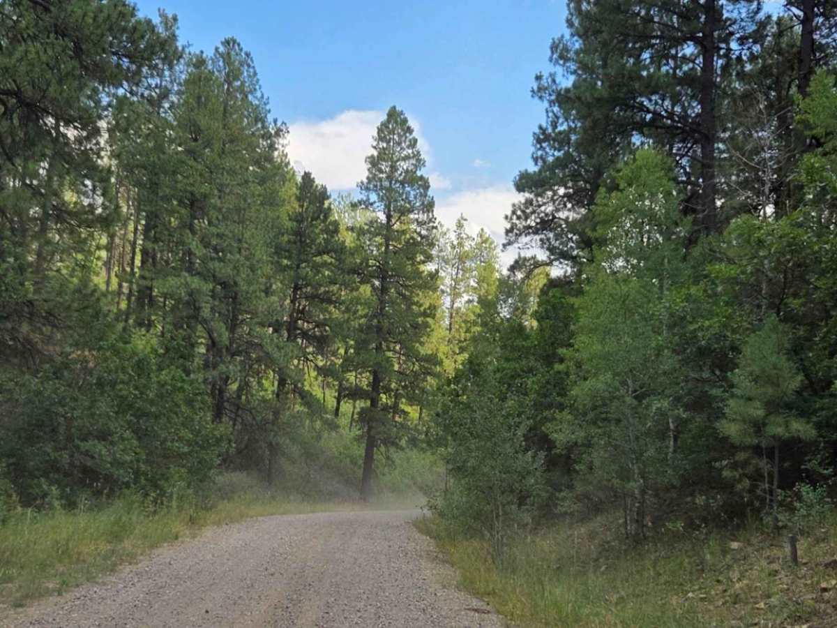 First Notch Road - FS 620 photo 2