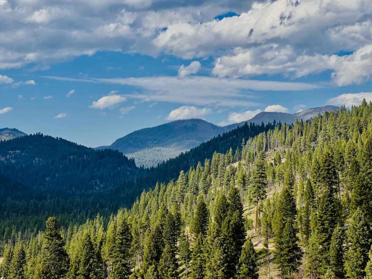 Johnson Peak Trailhead trail photo