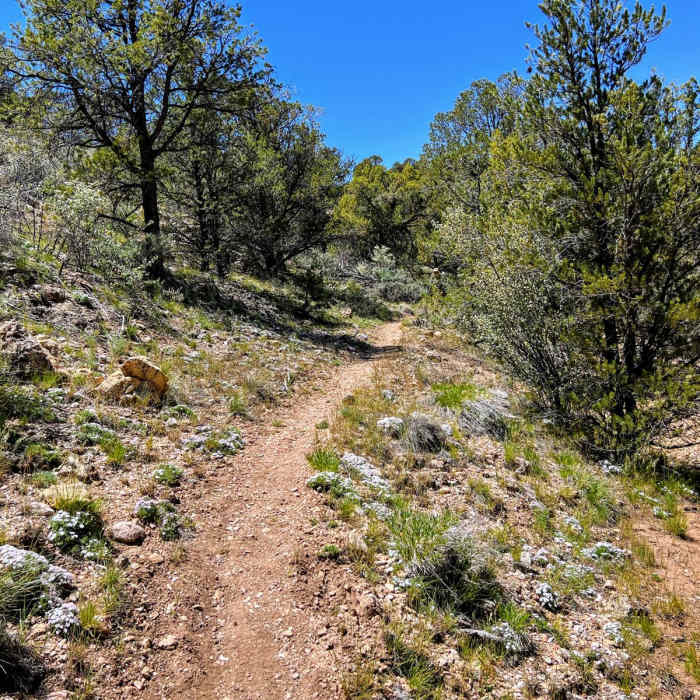 Near Arizona Trail Passage 43: Buckskin Mountain