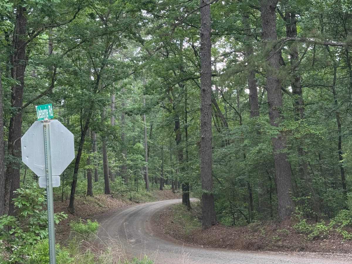 Wallace Bridge Road trail photo