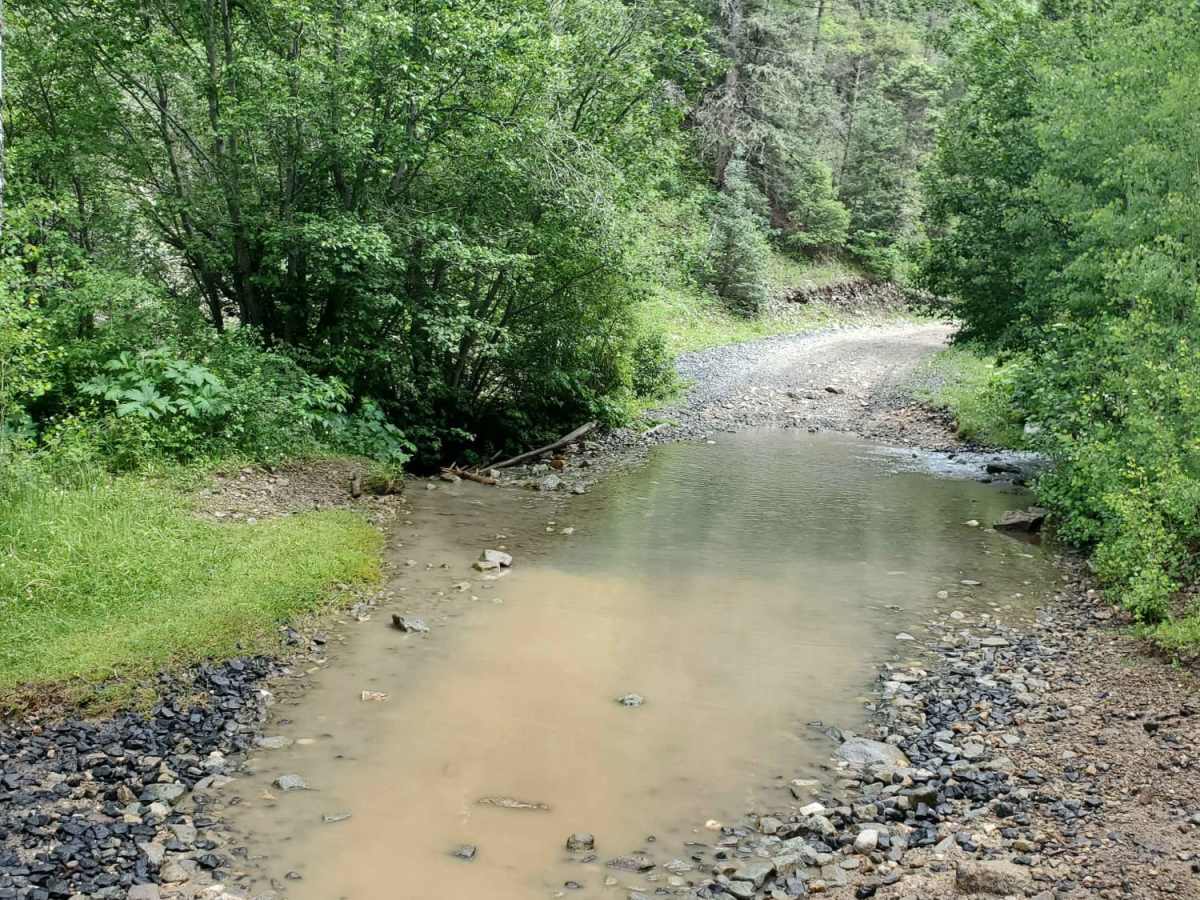 Pioneer Creek photo 4