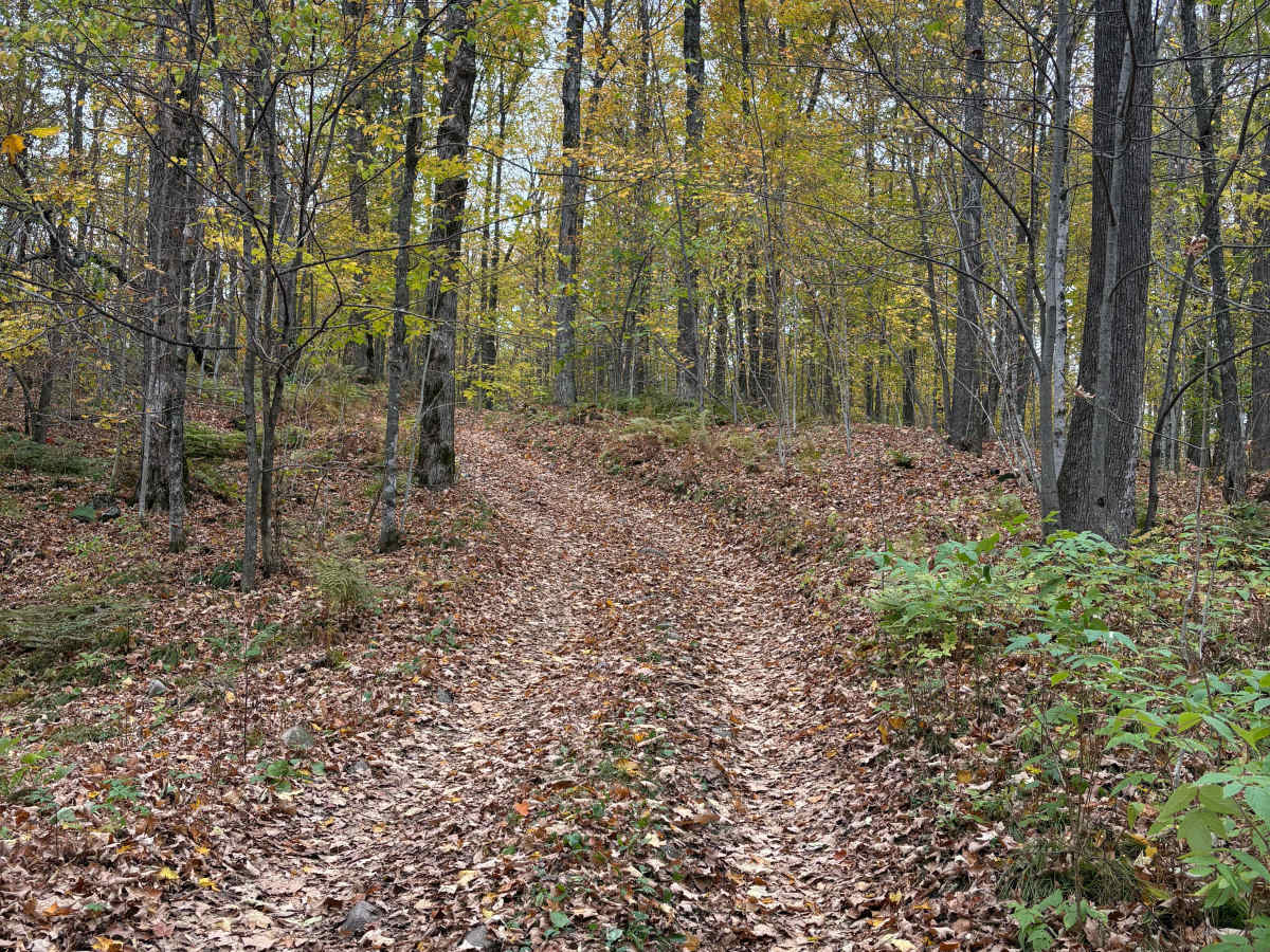Porkey Lake Loop photo 2