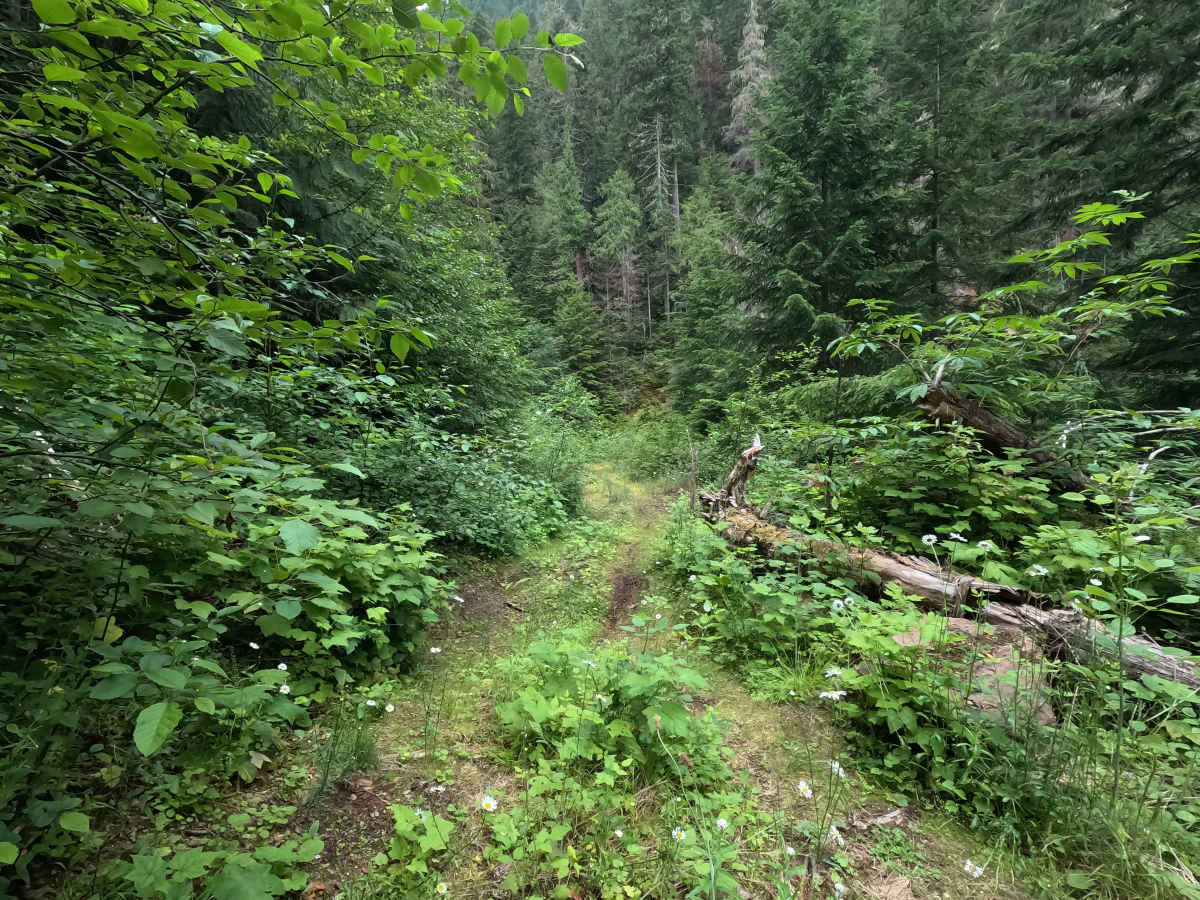 FS 2740060 photo 6