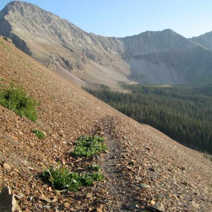 Near Rock of Ages Trail