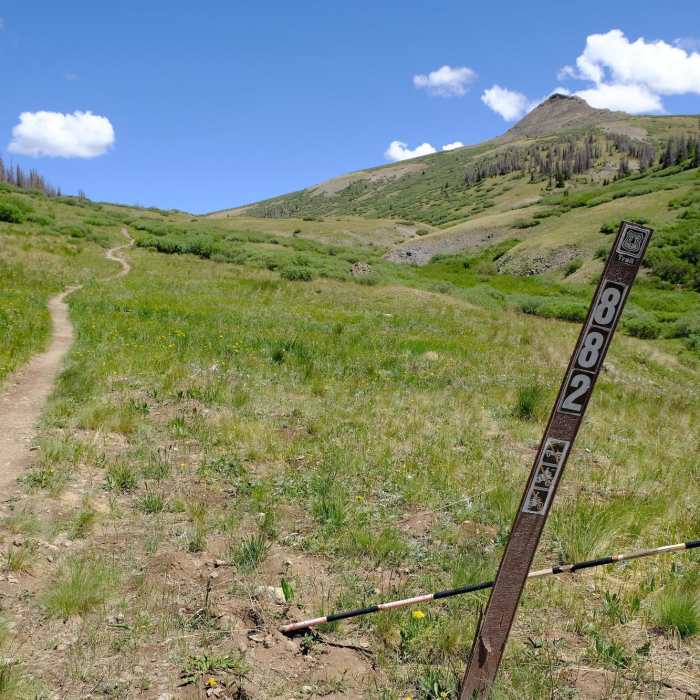Trailhead from Upper P lot Near West Willow Creek 4WD Road